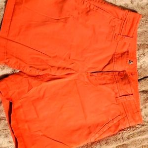 Orange New York & Co. Shorts